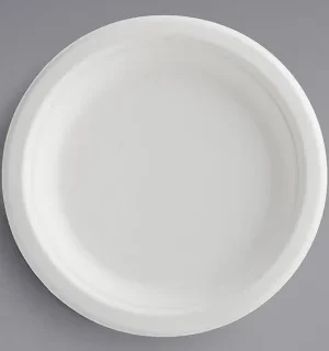 10 INCH BAGASSE PLATE