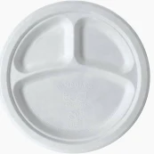 10 INCH ROUN 3 CP BAGASSE PLATE