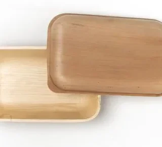 500ml Areca Leaf Container 500x500 1