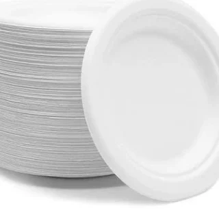 6 INCH BAGASSE PLATE
