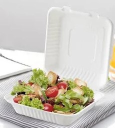 9 9X9 BAGESSE CLAMSHELL