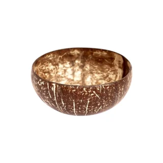 COCONESIA BOWL POLISHED 2