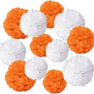 TISSUE PAPER POM POM 2PK 12INCH