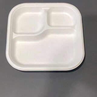 8.9" X 8.9" INCH BAGASSE 3 COMPARTMENT PLATE 25 PCS $2.20.20 PK IN CASE $44.00