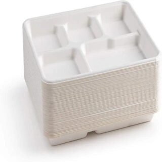 5 COMPARTMENT BAGASSE PLATE 25 CT PCS $3.80. 20 PK IN CASE $76.00